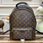 Louis Vuitton Palm Springs MM M44874 Brown